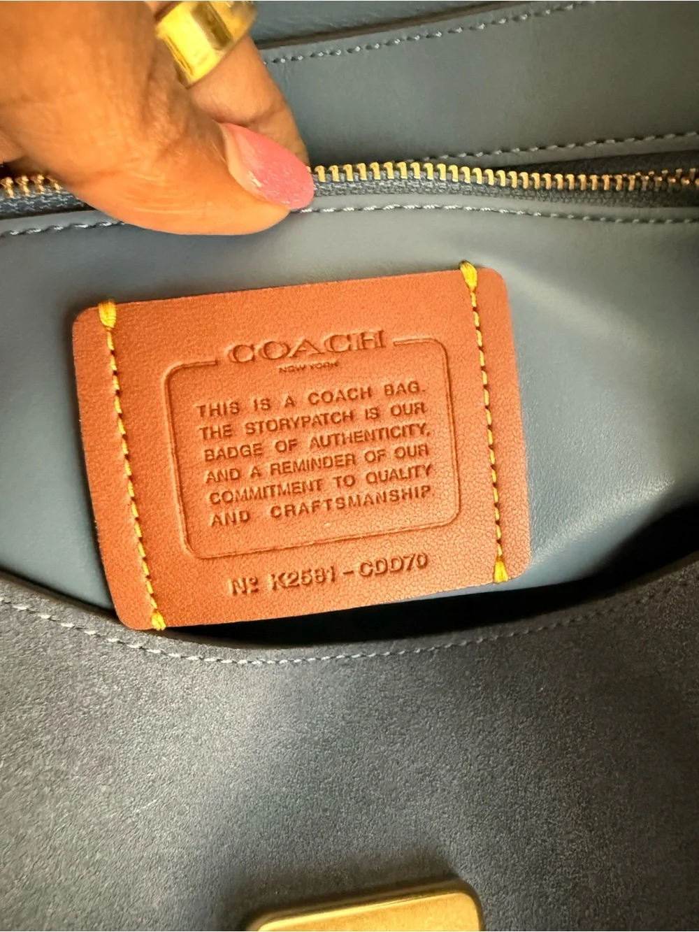 COACH Slouchy Rogue